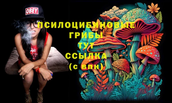 гидропоника Баксан