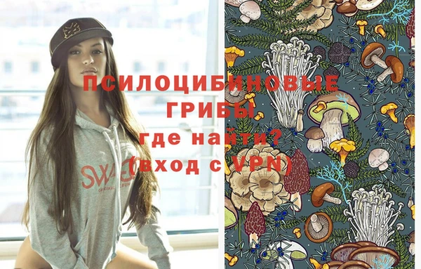 метадон Беломорск