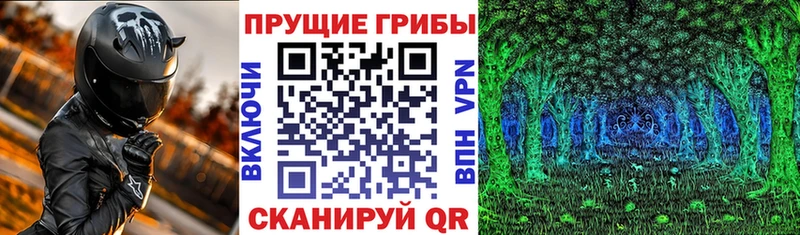 Псилоцибиновые грибы прущие грибы  Кущёвская 
